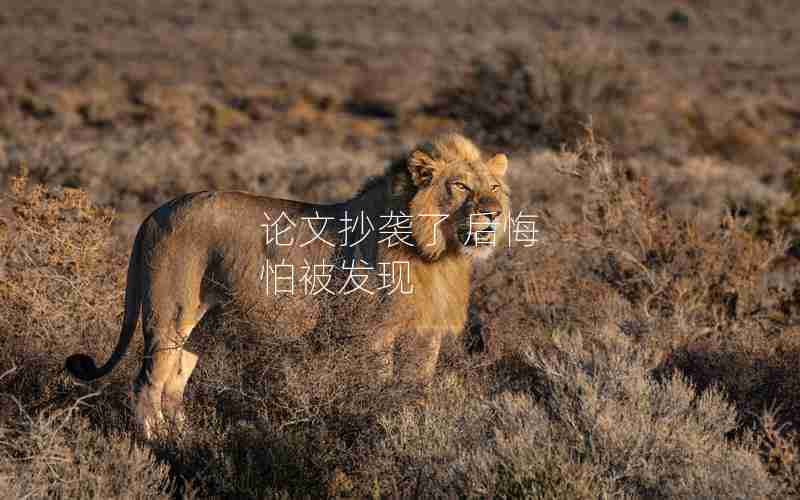 论文抄袭了 后悔 怕被发现 论文抄袭了 后悔 怕被发现