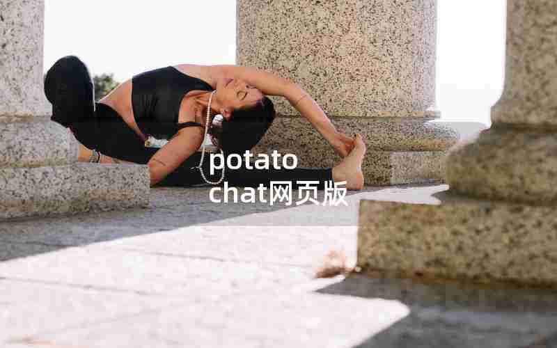 potato chat网页版