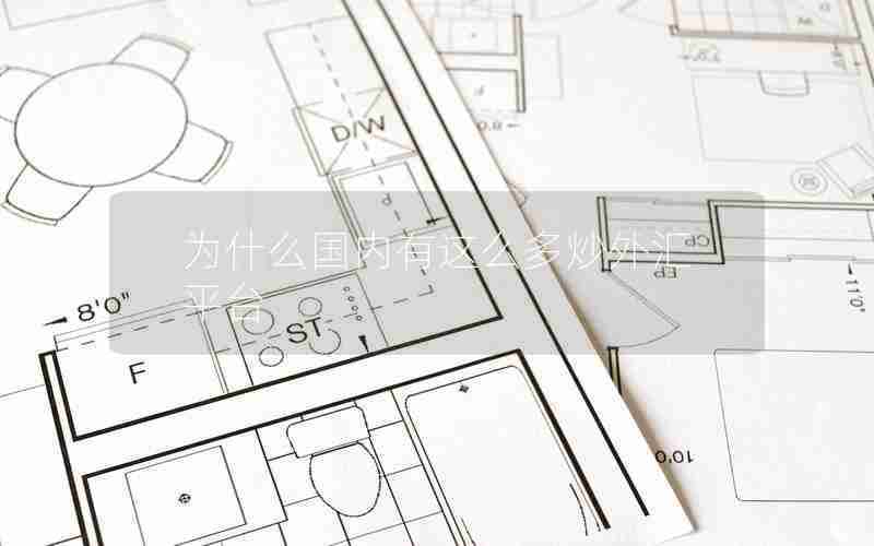 为什么国内有这么多炒外汇平台 为什么国内有这么多炒外汇平台