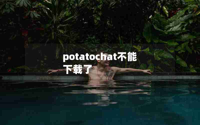 potatochat不能下载了 potatochat不能下载了