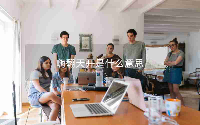 嗨翻天开是什么意思