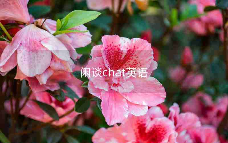 闲谈chat英语