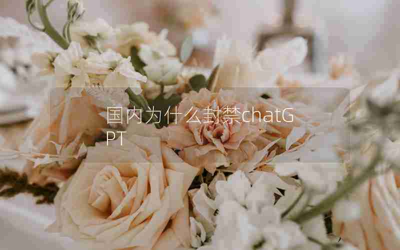 国内为什么封禁chatGPT