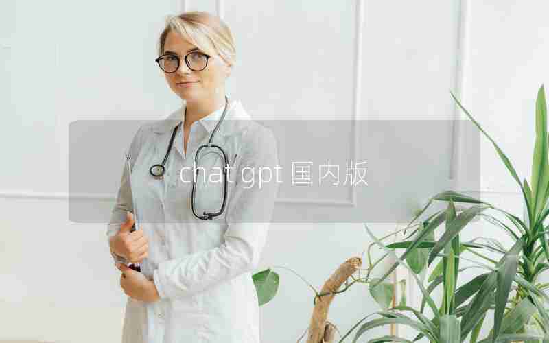 chat gpt 国内版