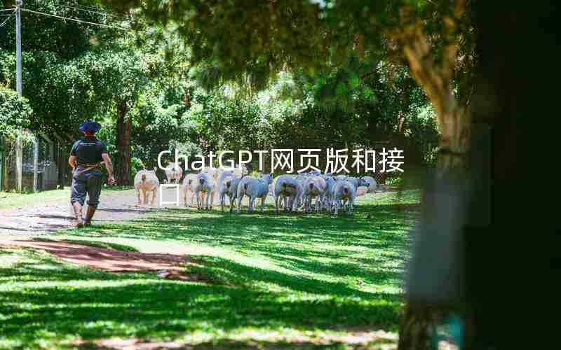 ChatGPT网页版和接口