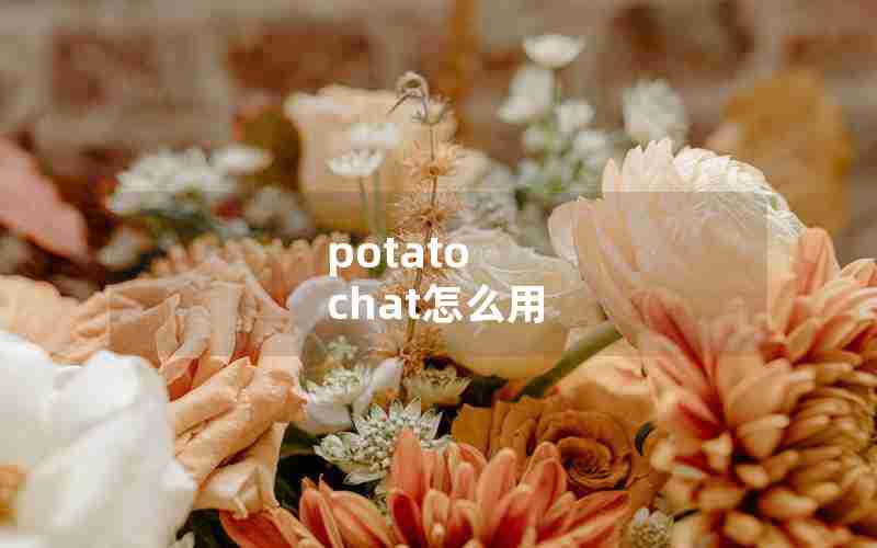 potato chat怎么用