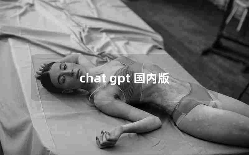 chat gpt 国内版