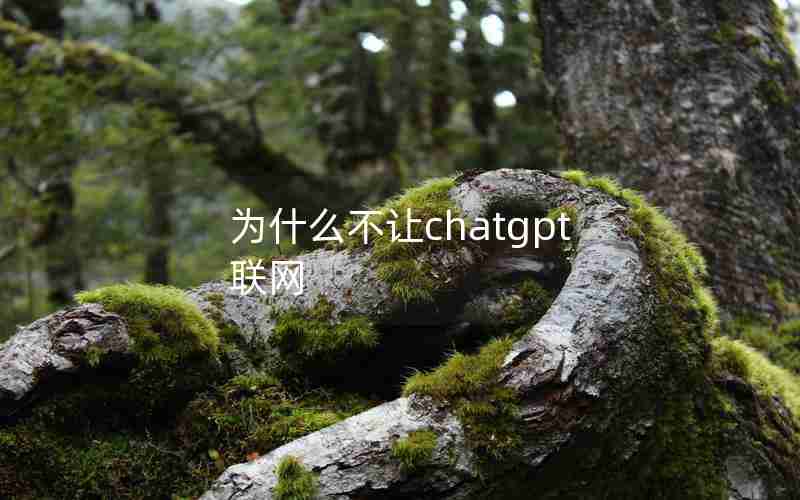 为什么不让chatgpt联网 为什么不让chatgpt联网