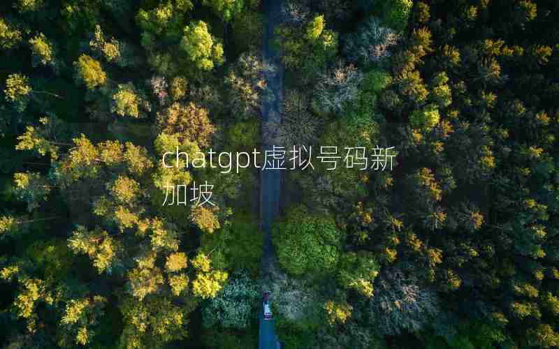 chatgpt虚拟号码新加坡 chatgpt虚拟号码新加坡