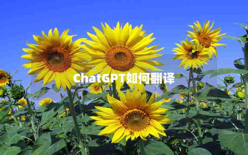 ChatGPT如何翻译 ChatGPT如何翻译