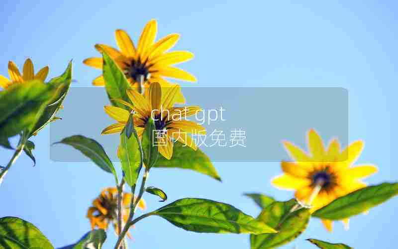 chat gpt 国内版免费 chat gpt 国内版免费