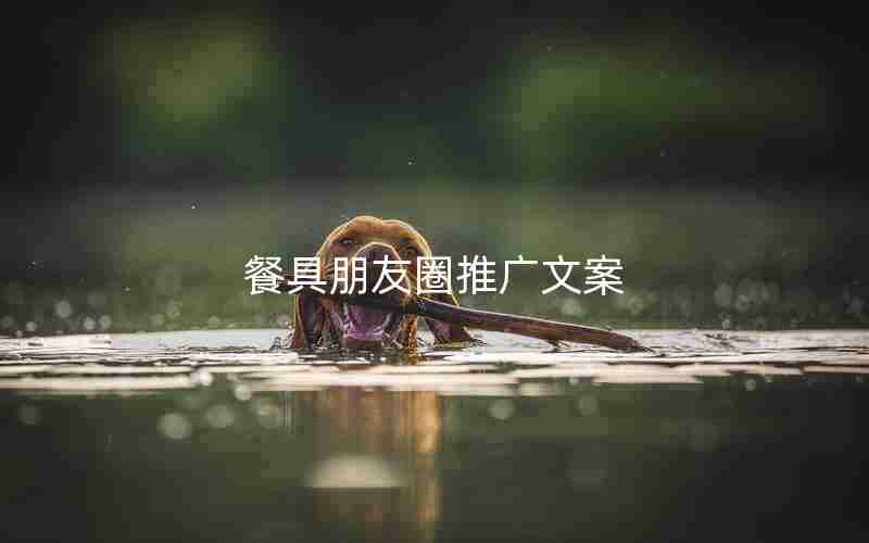 餐具朋友圈推广文案 餐具朋友圈推广文案