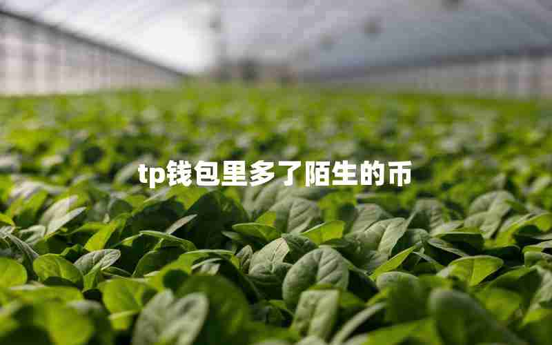 tp钱包里多了陌生的币 tp钱包里多了陌生的币