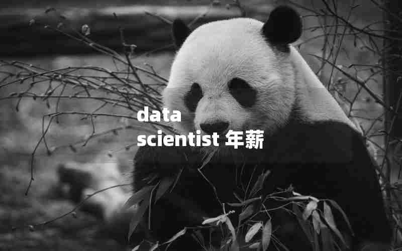 data scientist 年薪