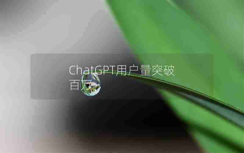ChatGPT用户量突破百万 ChatGPT用户量突破百万