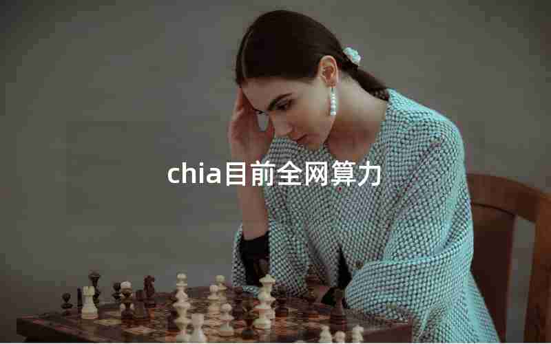 chia目前全网算力 chia目前全网算力