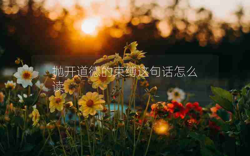 抛开道德的束缚这句话怎么读 抛开道德的束缚这句话怎么读