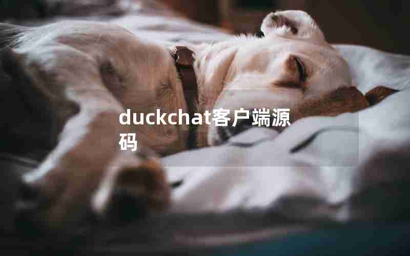 duckchat客户端源码 duckchat客户端源码