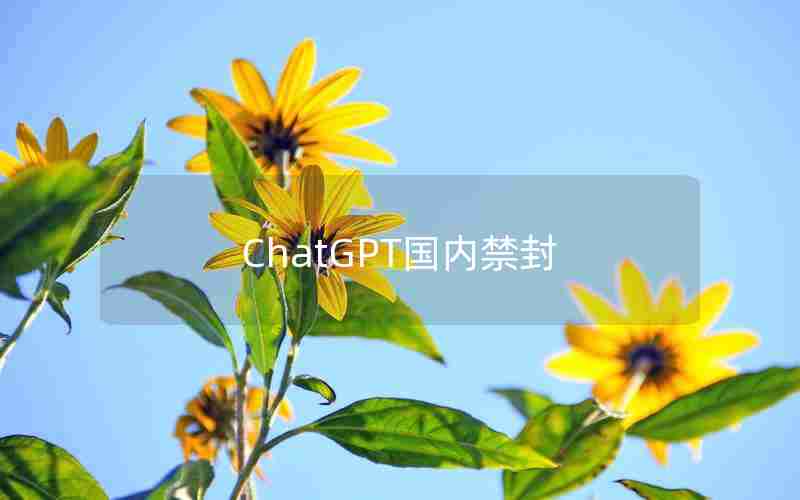 ChatGPT国内禁封