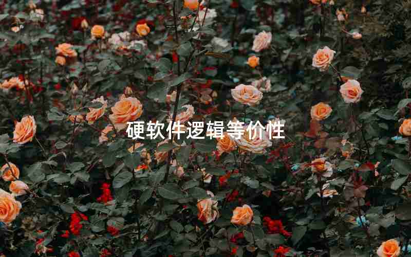 硬软件逻辑等价性 硬软件逻辑等价性