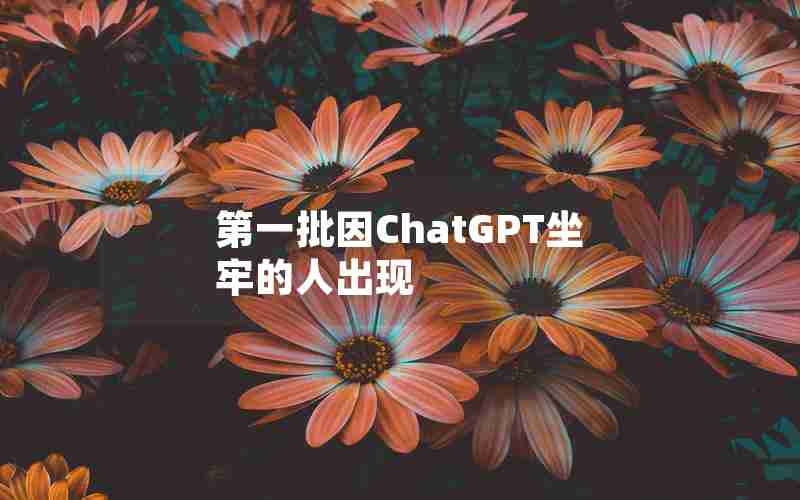 第一批因ChatGPT坐牢的人出现 第一批因ChatGPT坐牢的人出现