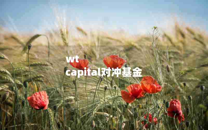 wt capital对冲基金