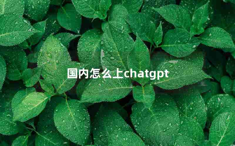 国内怎么上chatgpt