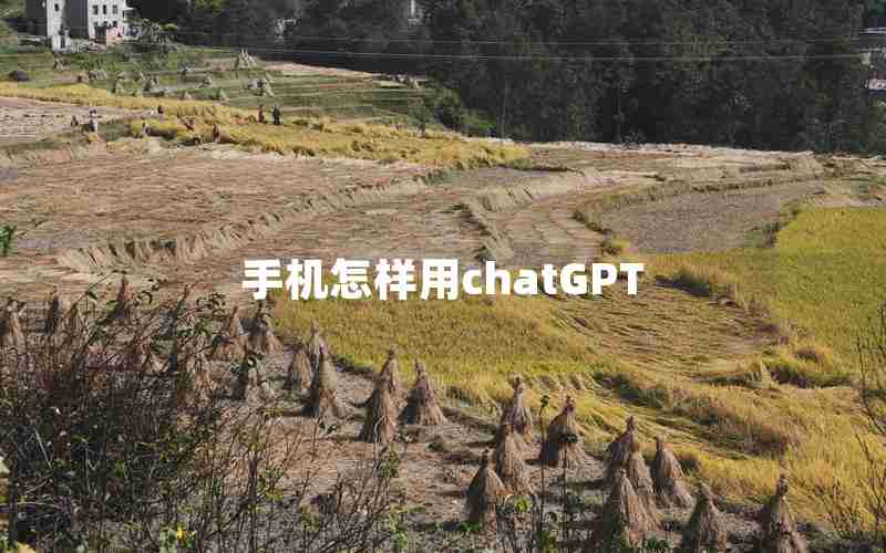 手机怎样用chatGPT 手机怎样用chatGPT