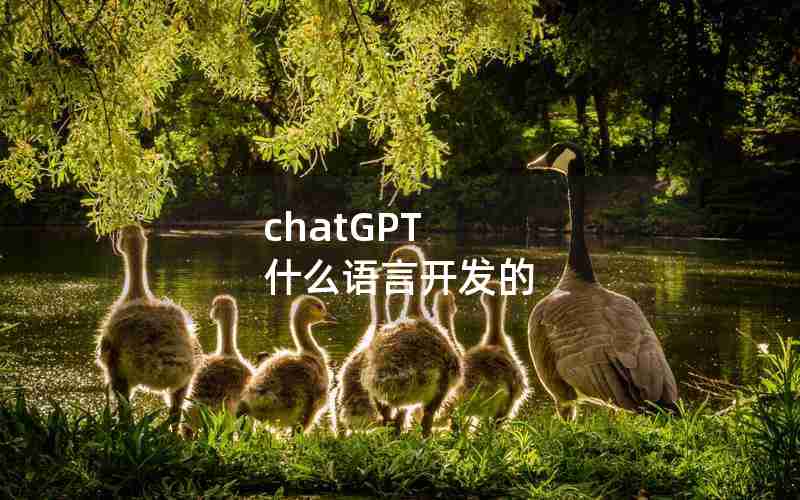 chatGPT 什么语言开发的
