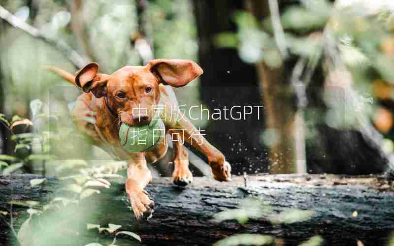 中国版ChatGPT 指日可待 中国版ChatGPT 指日可待