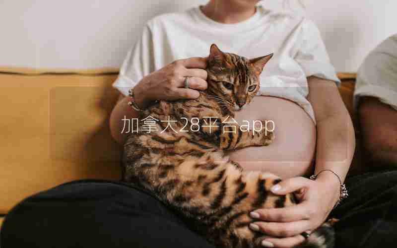 加拿大28平台app