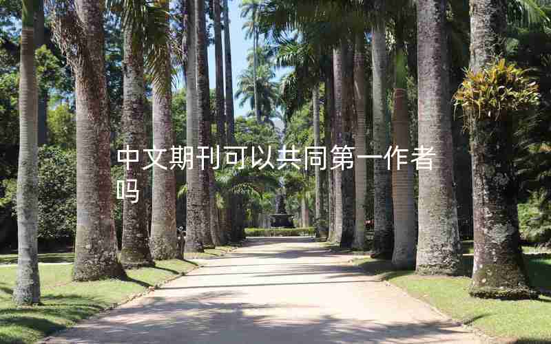 中文期刊可以共同第一作者吗