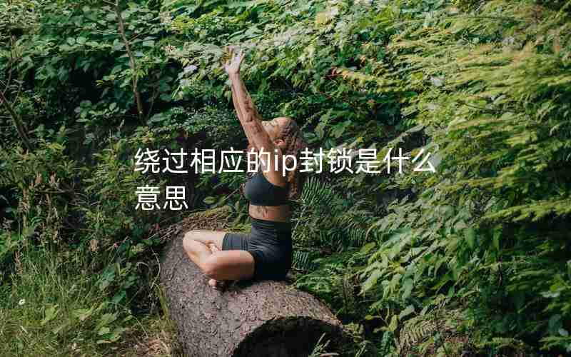 绕过相应的ip封锁是什么意思