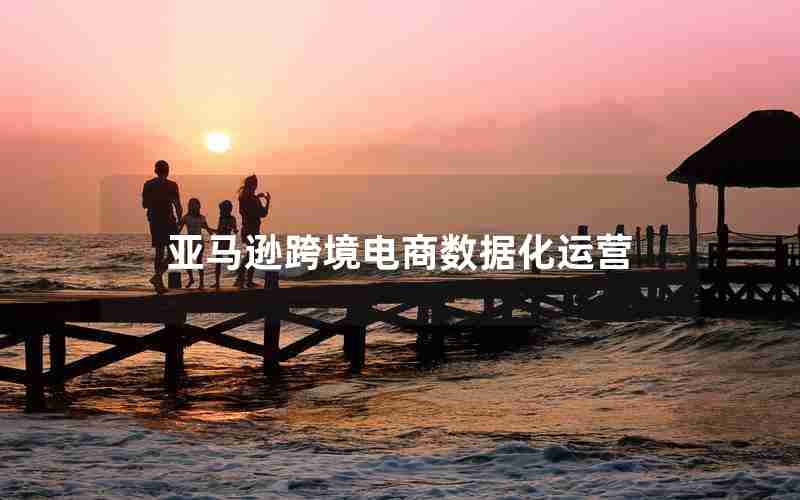 亚马逊跨境电商数据化运营 亚马逊跨境电商数据化运营
