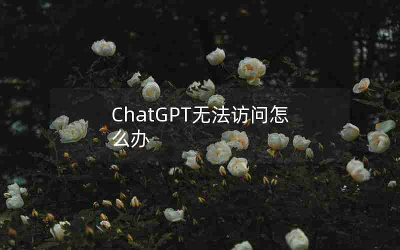 ChatGPT无法访问怎么办