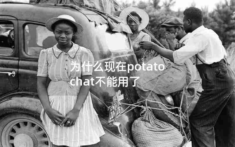为什么现在potato chat不能用了