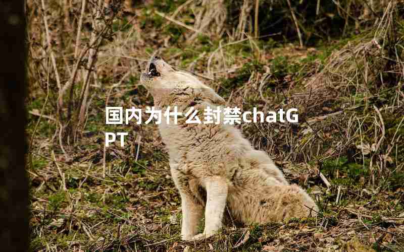 国内为什么封禁chatGPT