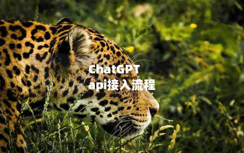 ChatGPT api接入流程 ChatGPT api接入流程