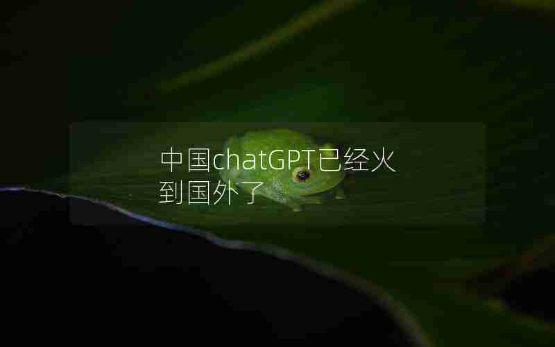 中国chatGPT已经火到国外了