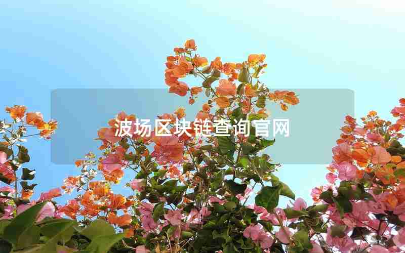 波场区块链查询官网 波场区块链查询官网