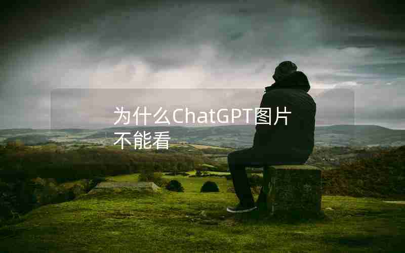 为什么ChatGPT图片不能看 为什么ChatGPT图片不能看