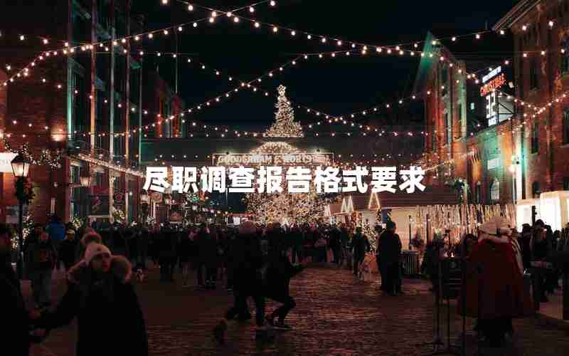 尽职调查报告格式要求