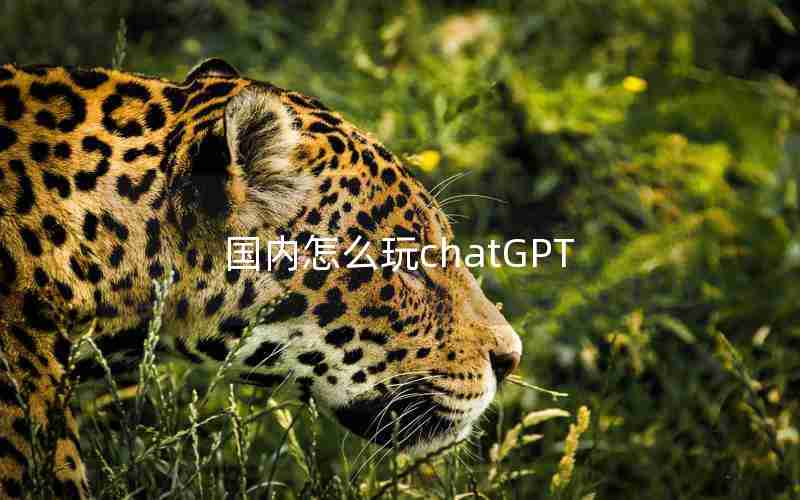 国内怎么玩chatGPT