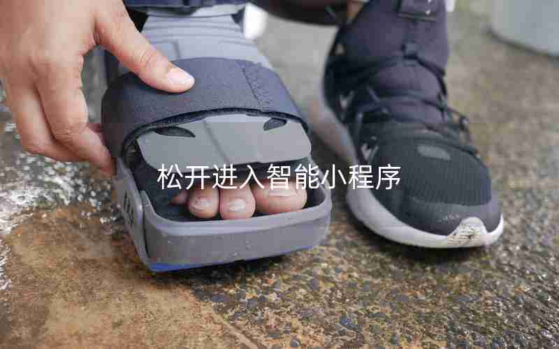 松开进入智能小程序 松开进入智能小程序