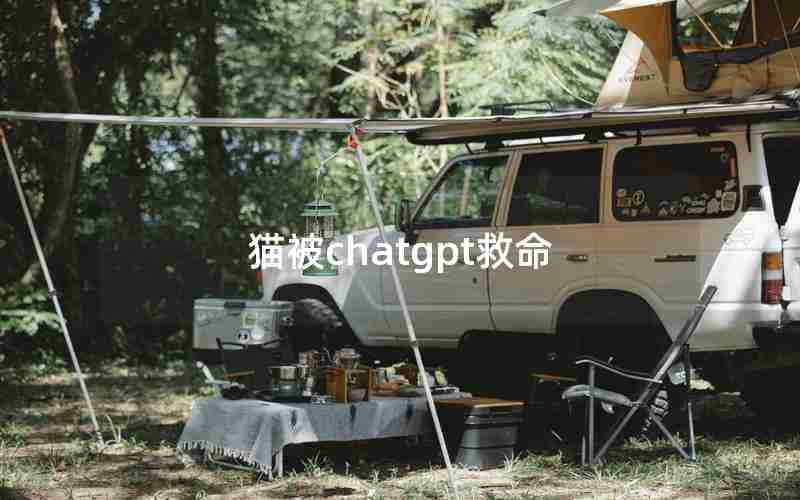 猫被chatgpt救命 猫被chatgpt救命