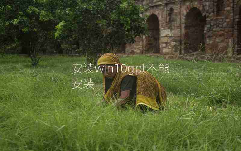 安装win10gpt不能安装 安装win10gpt不能安装