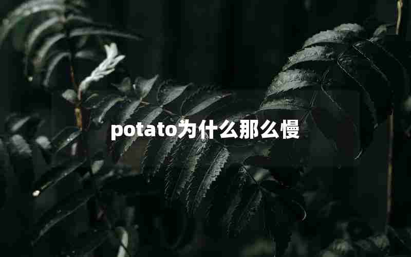 potato为什么那么慢