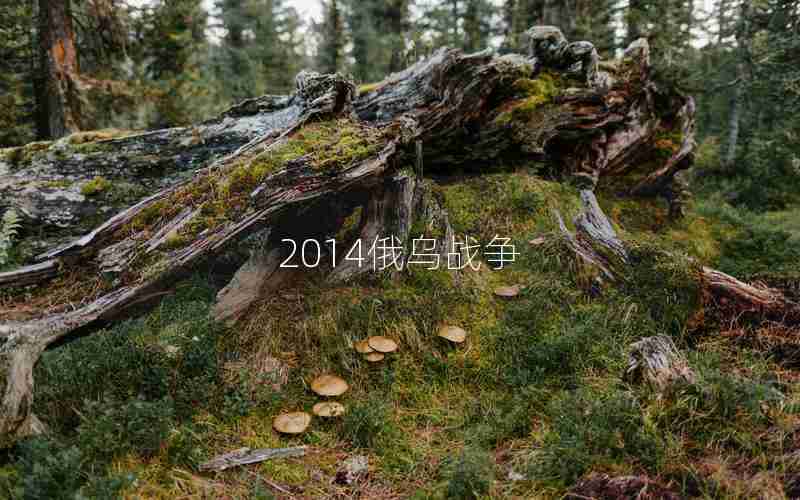 2014俄乌战争 2014俄乌战争