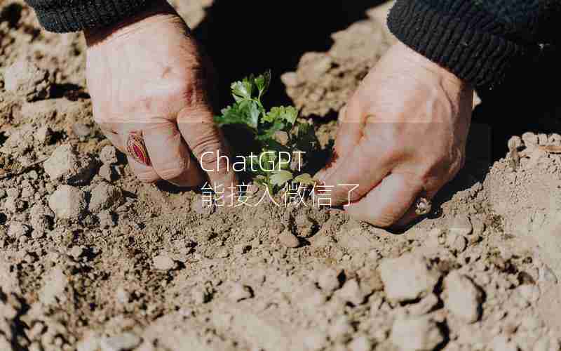 ChatGPT 能接入微信了
