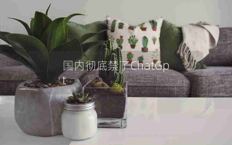 国内彻底禁了ChatGpt